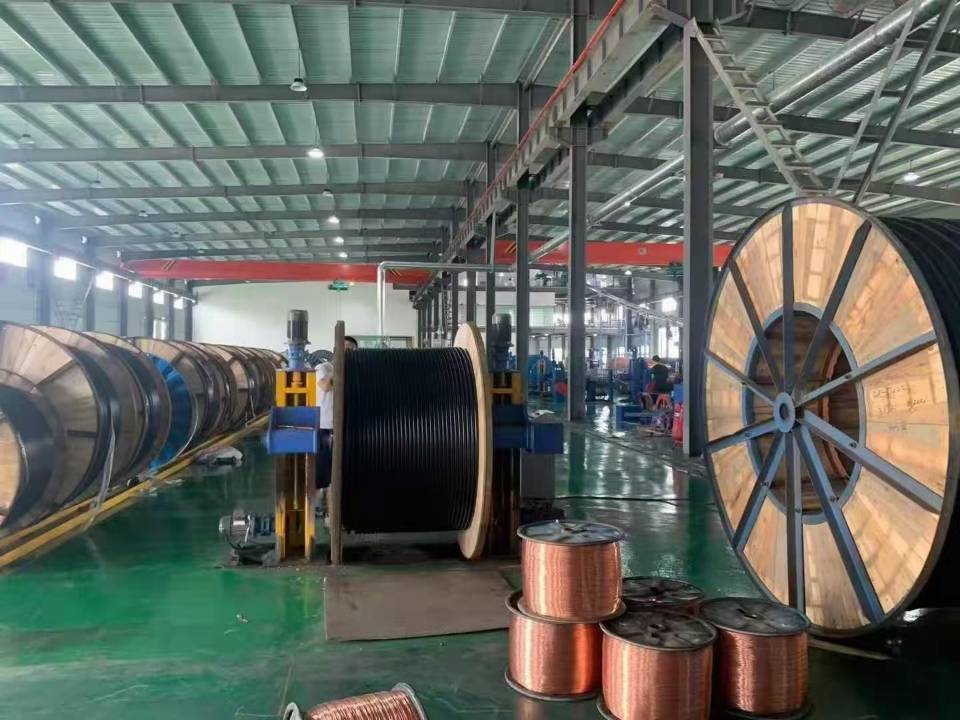 RVVG電動(dòng)葫蘆手柄控制電纜