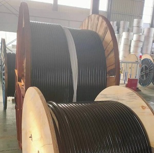 特種計(jì)算機(jī)電纜