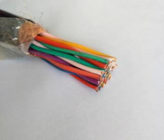 計算機鎧裝電纜DJYPVRP22