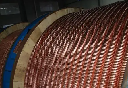 16553529691195.png image.png