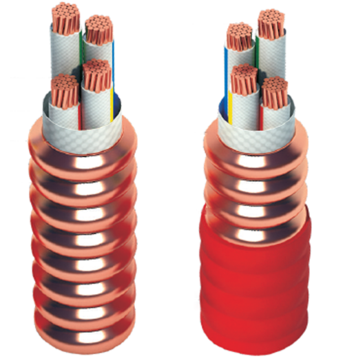 16558849641086.png image.png